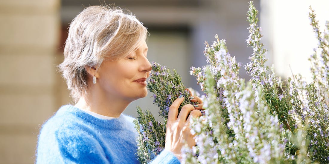 Frau riecht an Lavendel Frau riecht an Lavendel