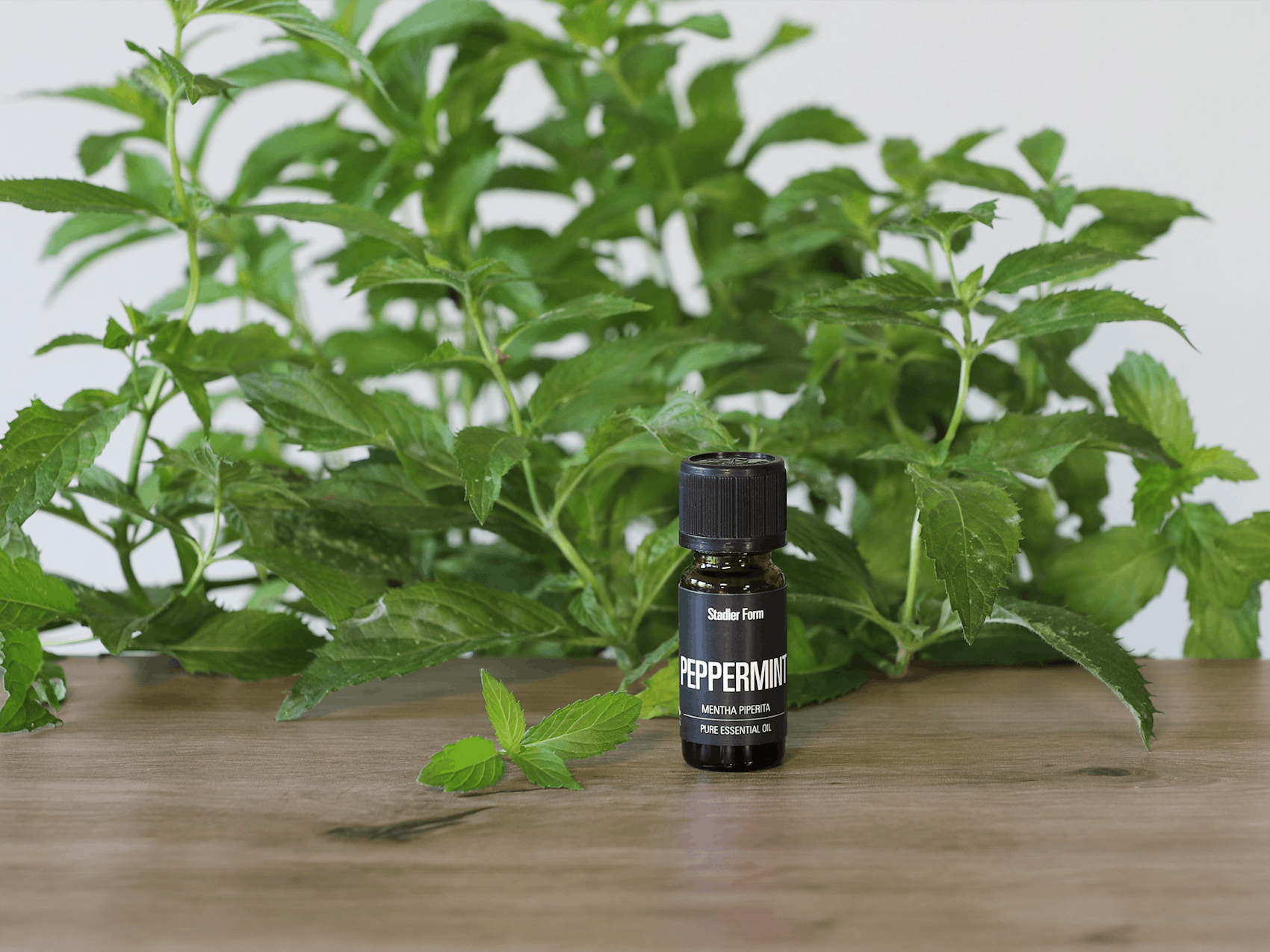 Stadler Form essential oil Peppermint
